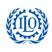 IMO Compliance Certification